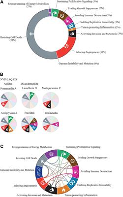 Exploring the Diversity of the Marine Environment for New Anti-cancer Compounds